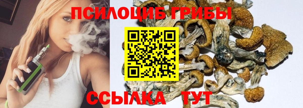 Асино  Галлюциногенные грибы Psilocybine cubensis  Вход с VPN 